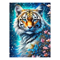 PBN - Cosmic Tiger