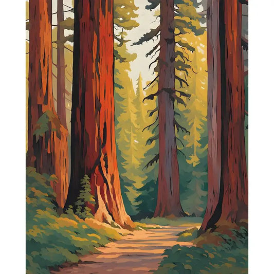 PBN - Redwood Path