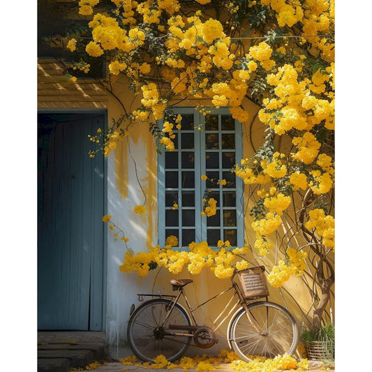 PBN - Bicycle of Memories